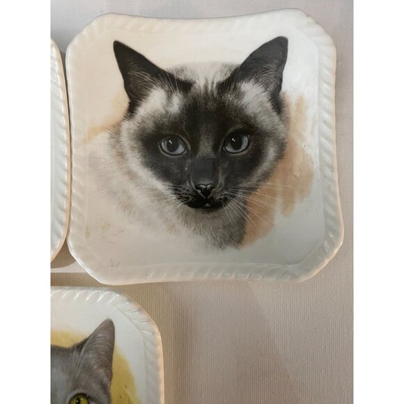 Cat Kittens Kitties 5 Trinket Trays Royal Adderley Bone China Made in England - Picture 5 of 8